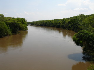 Fototapeta premium rio, pescaria, natureza, pantanal, amazonia, férias, arvores, preservação, agua, brasil