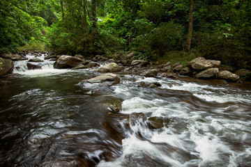 Beautiful Landscape Photography of Waterfall in a deep Forest