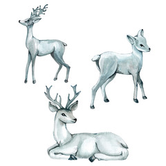 Silver watercolor deer.