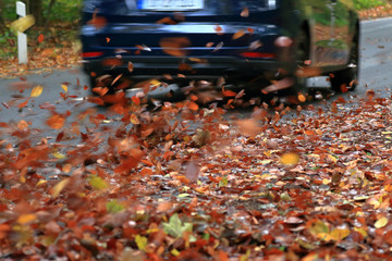 Auto auf herbstlicher Strasse