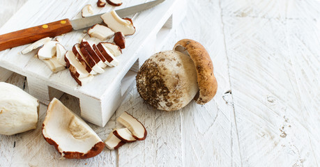 Wild porcino mushrooms