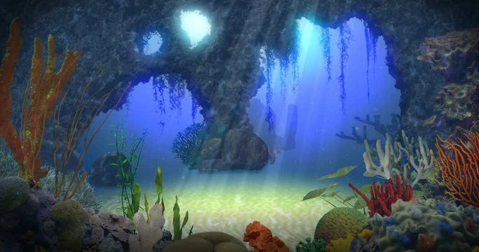 Underwater Reef Background