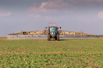 Chemical defense against crustaceans, mushroom insects