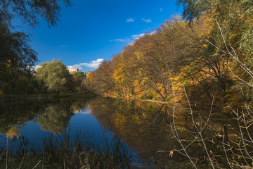 Autumn park