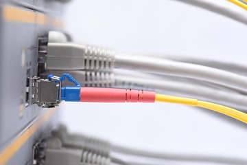 Data center, fiber optic and network cables connected to the switch