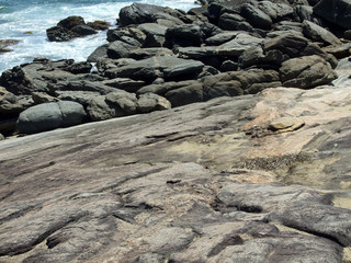 rocks