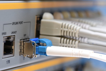 Optical fiber patch cord and network cables connected to switch in datacenter, closeup
