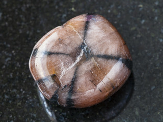 Obraz premium polished Chiastolite gemstone on dark background