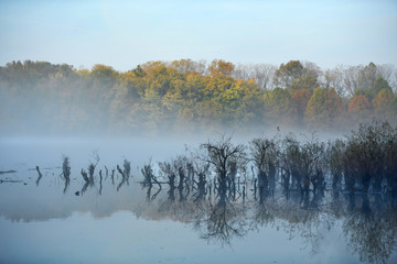 Early Morning Fog on Lake
