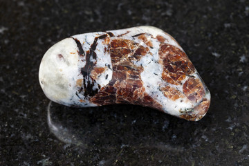 polished Eudialyte in syenite stone on dark