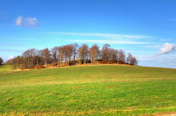 Fototapeta premium Erz Mountains in Autumn