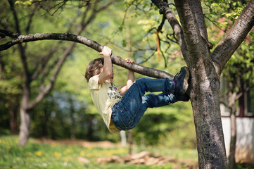 Little boy facing challenge trying to climb a tree. Shallow depth of field.