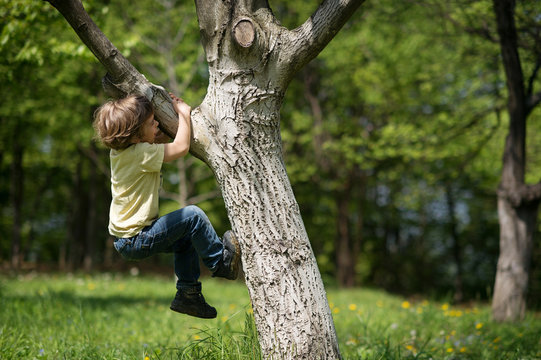 Little boy facing challenge trying to climb a tree. Shallow depth of field.