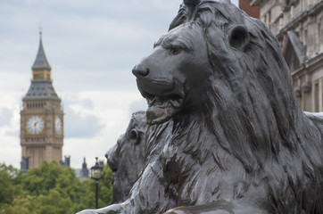 Lion and Big Ben