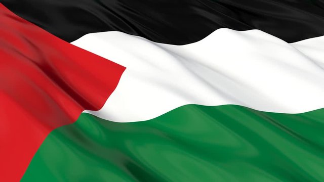 Palestine Flag Waving. Seamless loop.