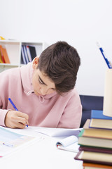 child studying at home or school desk
