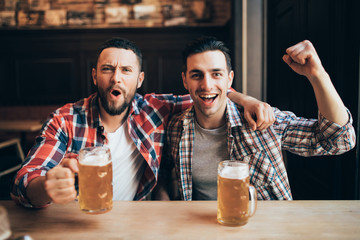 Two men watching tv with beer rejoice the victory of their favorite team in the pub