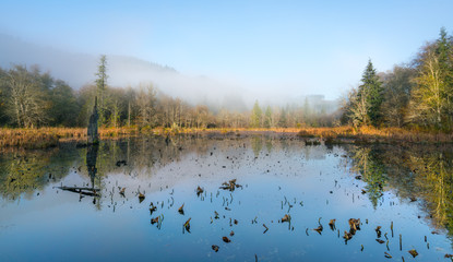 Foggy Morn At McLane Creek