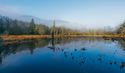 Foggy Morn At McLane Creek