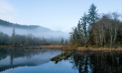 Fototapeta na wymiar Foggy Morn At McLane Creek