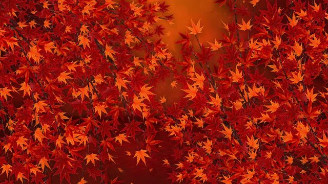 紅葉 木々 秋 落葉 ループ