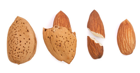 almonds peeled and unpeeled with isolated on white background. Set or collection. Top view