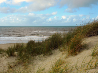 Fototapeta na wymiar Nordseeküste, Texel: Dünen, Strand, Meer, Wind, Wolken