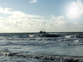 Fischkutter vor der holländischen Küste