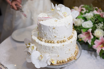 Obraz na płótnie Canvas Bride and groom cutting a cake at a wedding