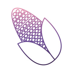 corn icon over white background vector illustration