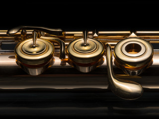 Obraz premium Details of a golden flute black background