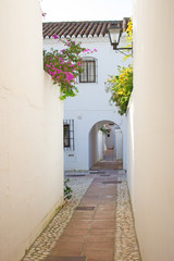 Street. Beautiful Spanish street. Costa del Sol, Andalusia, Spain.