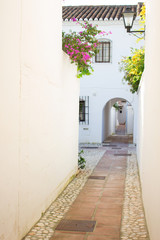 Fototapeta na wymiar Street. Beautiful Spanish street. Costa del Sol, Andalusia, Spain.