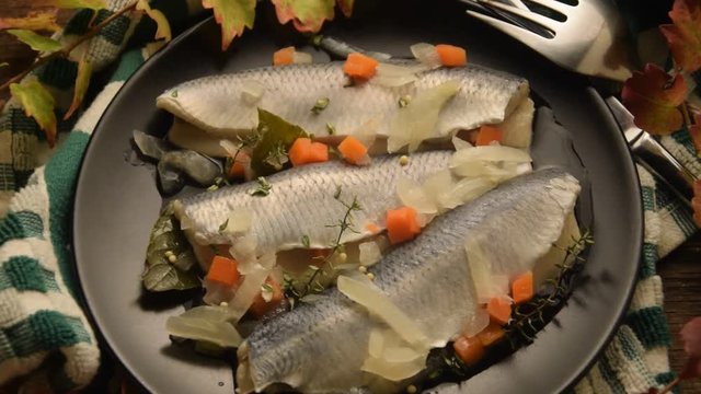 Clupea harengus