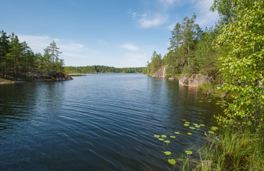 Fototapeta na wymiar Summer landscape on the northern lake with stone banks. Lake Travkino in the north of the Leningrad region in the vicinity of the village Kuznechnoe