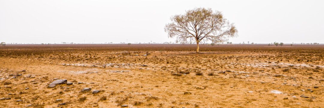 Longreach, QLD.