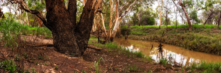 Roma, QLD.