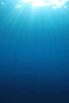 Underwater ocean background