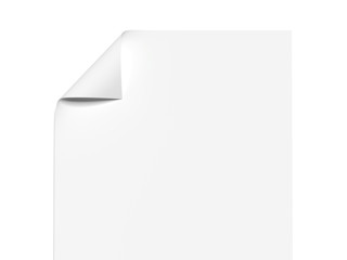 Blank sheet with a wrapped corner. 3d rendering