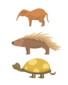 African animals .Turtle Cartoon Vector Illustration isolated