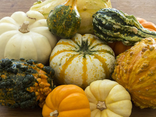 Overhead close-up of multi-colored gourds on a wood background