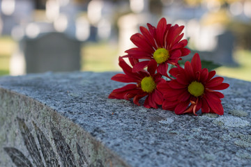 flowers on grave