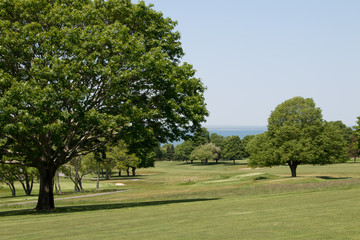 Fototapeta na wymiar golfcourse landscape