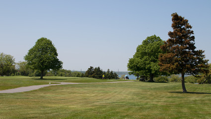 Golf Course with Trees