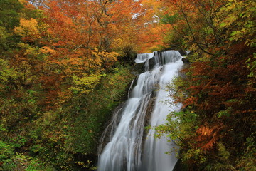 Obraz na płótnie Canvas 紅葉の姥滝