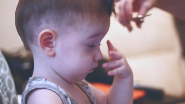 Child hairstyle. Hairdresser working with small boy in barbershop. Stylist combing hair child. Man making haircut for little boy. Child hair cut. Kids hair cut