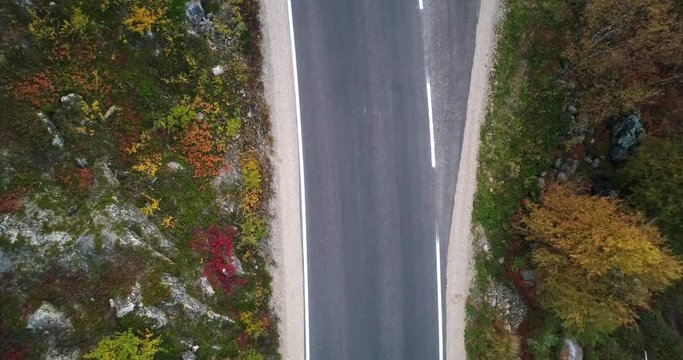 Autumn color road, Cinema 4k aerial rising view of a car parked on 970 the tenontie road full of different colors, near tenojoki river, on a sunny evening dawn, in Lapland, Finland