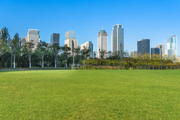 Obraz premium cityscape and skyline of tianjin from meadow in park