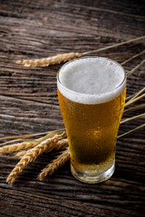 Glasses of light beer with barley on wooden table. Two glass of beer with wheat on wooden table. Vintage style color effect