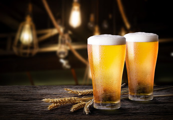 Glasses of light beer with barley at bar. Two glass of beer with wheat on wooden table